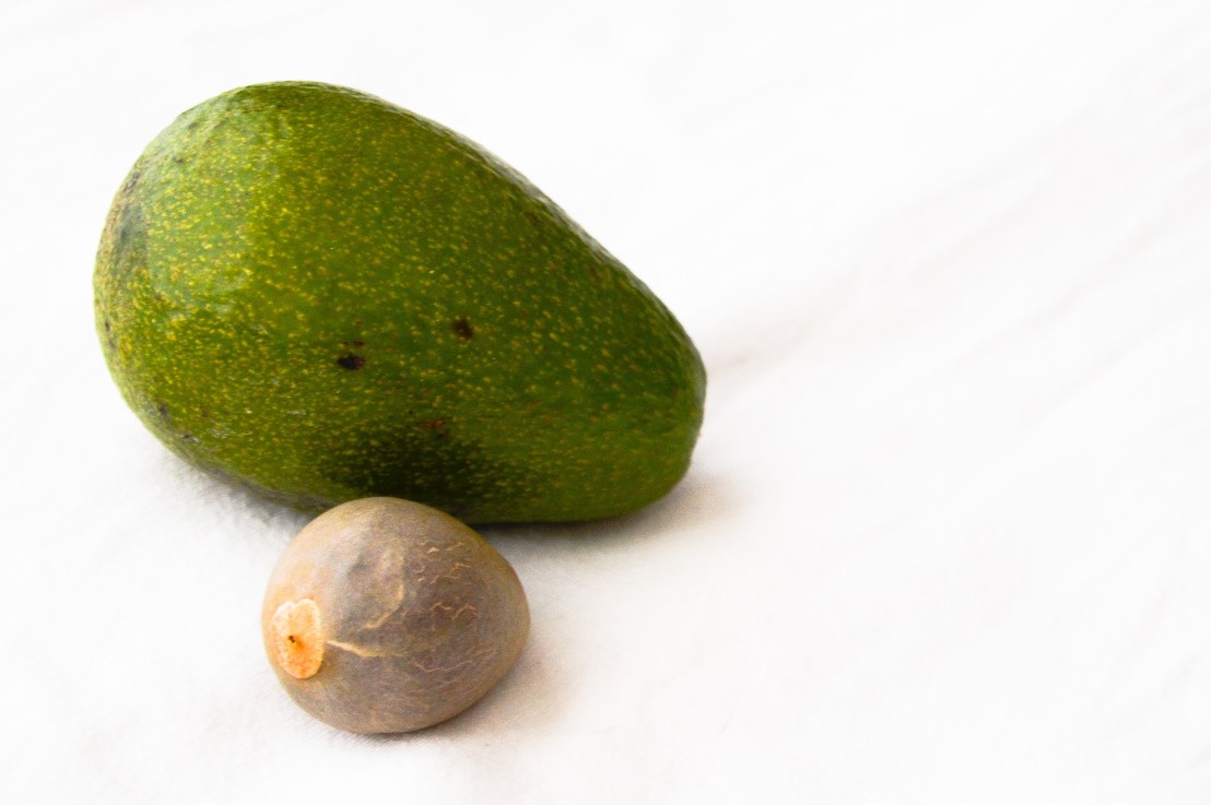 HeartDeeds Impuls  – „Von Fast-Food-Früchten“